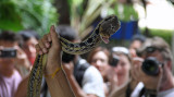 Snake Park, Bangkok, Thailand