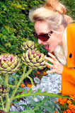 Artichokes Tasting