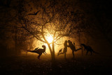 Untitled-1gff444.jpg