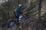 DSC_8461kl.JPG
