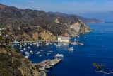 Catalina Island 