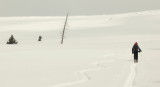 Lone Tree Ski