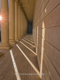 Legion of Honor Pillars Stand Proud