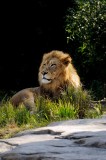 Cincinnati Zoo