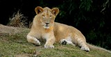 Cincinnati Zoo