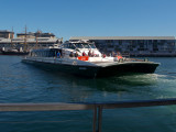SB1644w.jpg