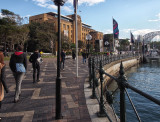 SB1704w.jpg