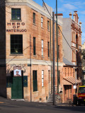 SB1721w.jpg