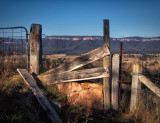 Dilapidated Gate w.jpg