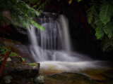 Second Leura Cascade w.jpg