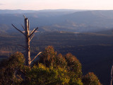 Above the Megalong 2w.jpg