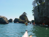 DSCN1598.jpg