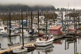 Seldovia Boat Harbor