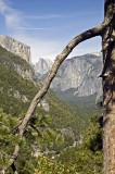 Entrance to Yosemite Valley #2