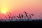 Honeymoon Island Sunset