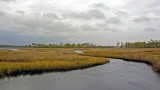 Panhandle Tidal Marsh