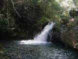 Rio Negro waterfall1.JPG