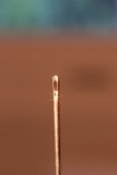 Needles eye 1x