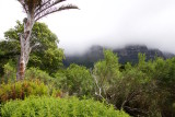 37.KIRSTENBOSCH BOTANICAL GARDENS-CTOWN.jpg