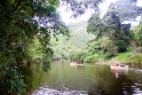 54.WILDERNESS NAT PARK-TOUW RIVER-WESTERN CAPE.jpg