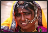 A Beauty of the Thar Desert.