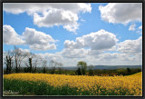 Springtime in North Cornouaille.