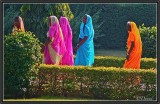 Saris. In the Gardens of Khajuraho.