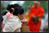 Morning Alms - The arrival of the Monks.