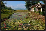 Villa Santi. Luang Prabang.