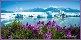 Knik Glacier