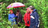 At the Well of the Mad on the Dingle Peninsula