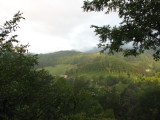 smokies 007.JPG