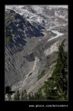 Nisqually Vista Trail #06, Mt Rainier National Park, WA