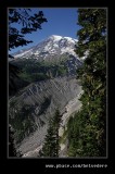 Nisqually Vista Trail #07, Mt Rainier National Park, WA