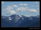 Hurricane Ridge #1, Olympic National Park, WA