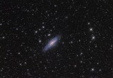 NGC 7331