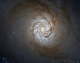M 61 (NGC 4303) Core