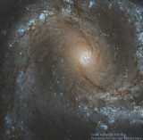 M 61 (NGC 4303)