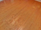 wood floor in dining & kitchen