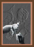 Mermaid with Architect.jpg