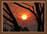 Sunset Original.jpg