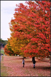 DSC_1861_1.jpg