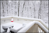 DSC_2074_1.jpg