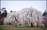 DSC_1178_1.jpg