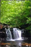 DSC_2080_1.jpg