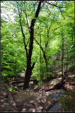 DSC_2105_1.jpg
