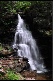DSC_2163_1.jpg