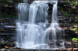 DSC_2249_1.jpg