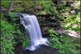 DSC_2328_1.jpg