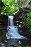 DSC_2331_1.jpg